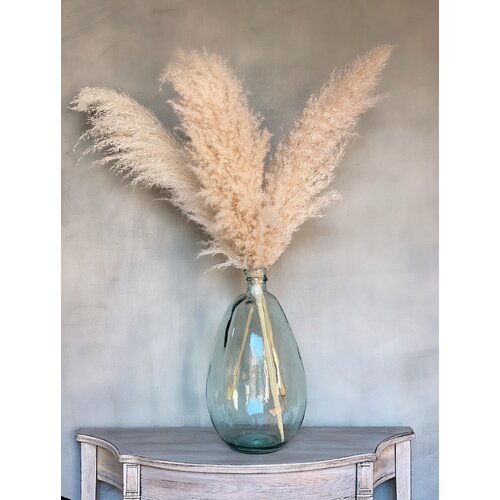 Primrue 40 Pampas Grass Grass And Reviews Wayfair Canada